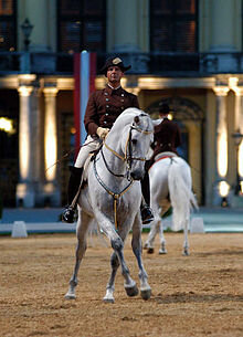 Лошадь, изображенная на монете (Фото: ru.wikipedia.org)