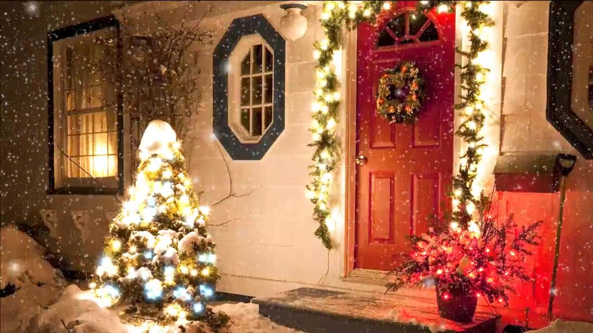 Фото из просторов Интернета.