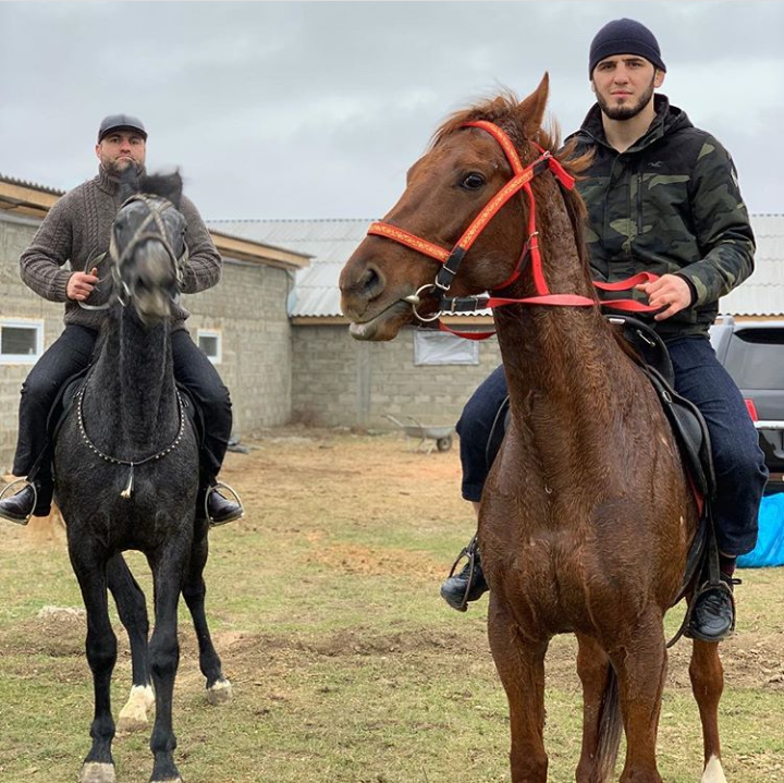 Мусульманские лошади. Дагестанская лошадь. Коневодство в Дагестане.