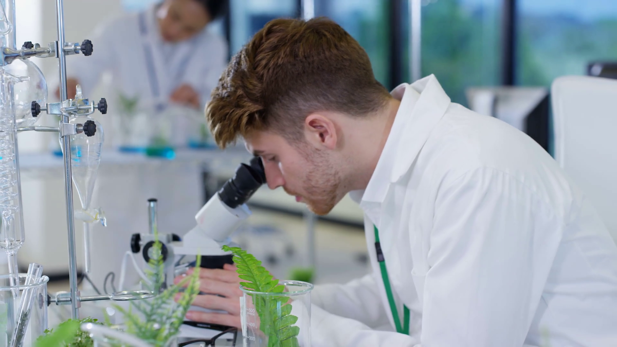 методы исследования биологии таблица наблюдение. первое биологическое исследование. первое биологическое исследование. биологический метод микробиология. биомедицинская инженерия.