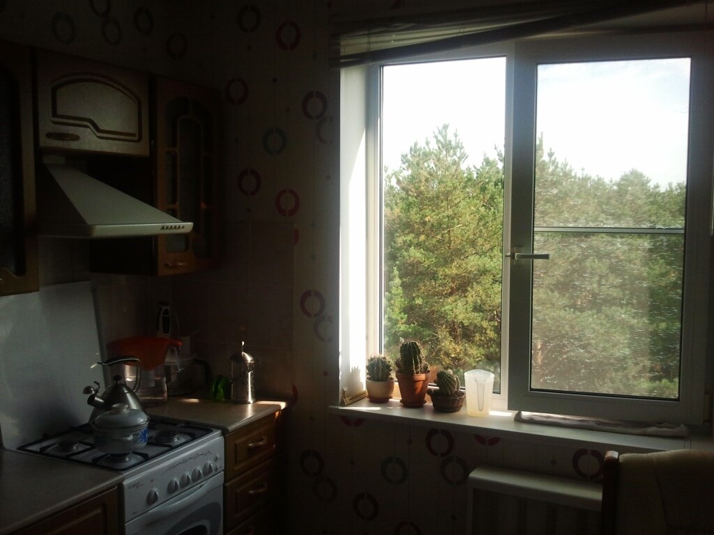 Вид с кухни