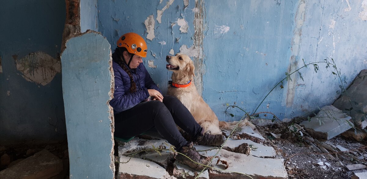 Куба на тренировке по поиску