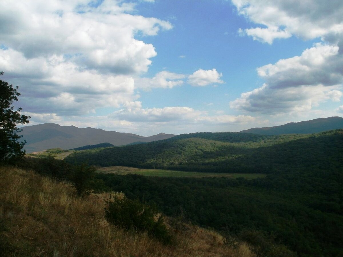 Редкая птица любит селится высоко в горах