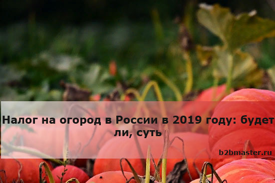 Фото: pixabay.com