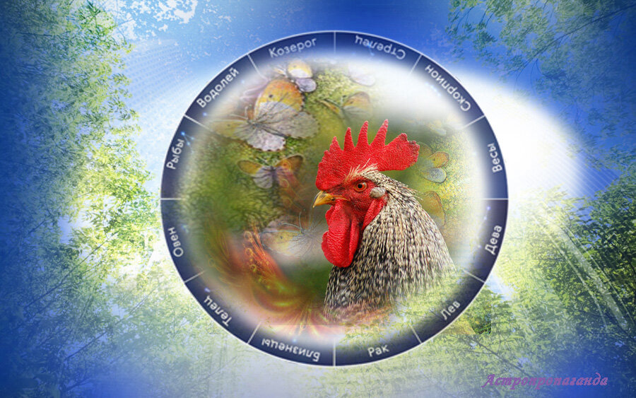 Коллаж Нины Стрелковой.