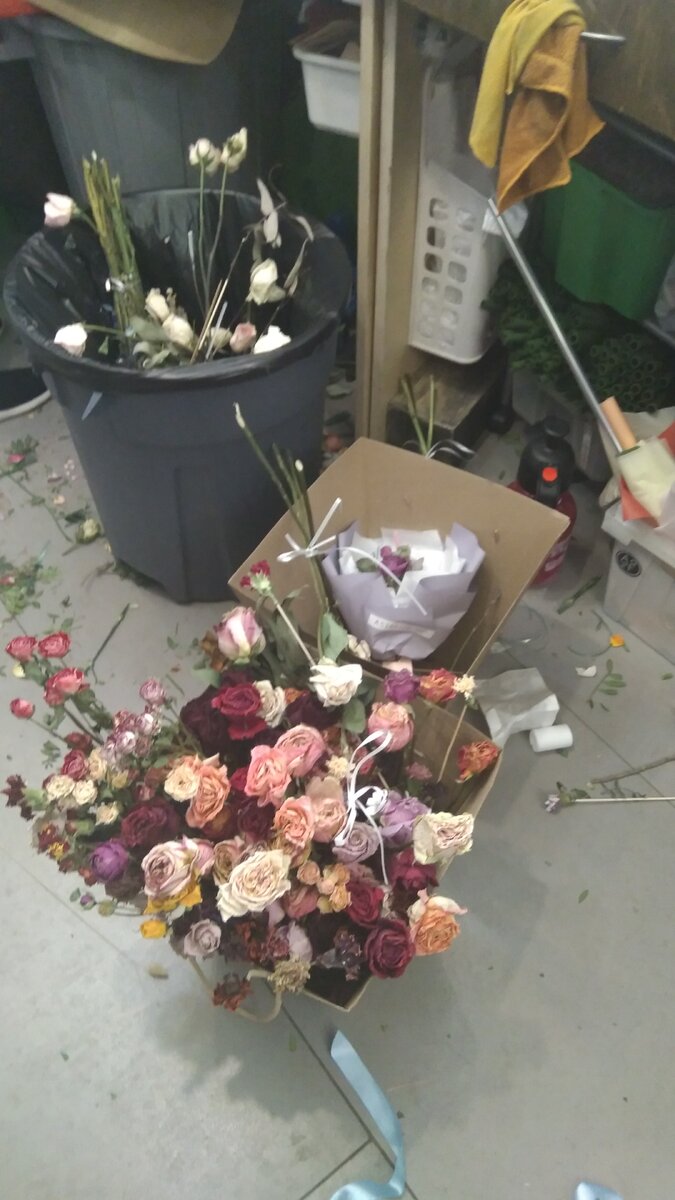 Это Сибирь, детка!