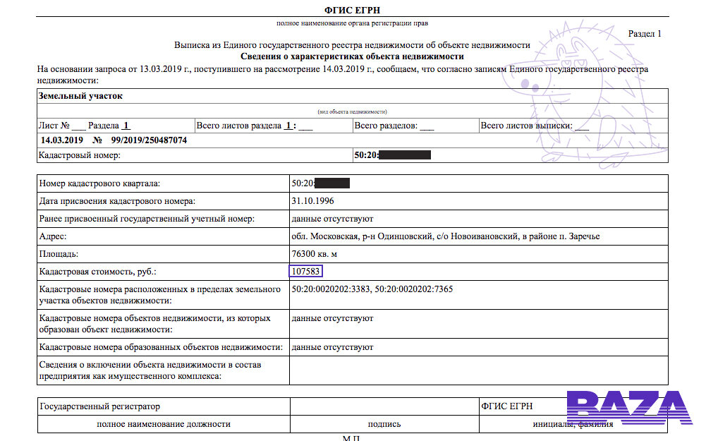 Выписка из Единого госреестра