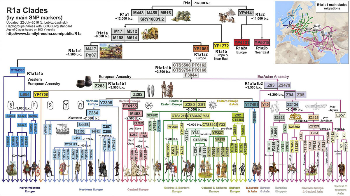 Субсклады R1a (таблица взята из открытых источников)