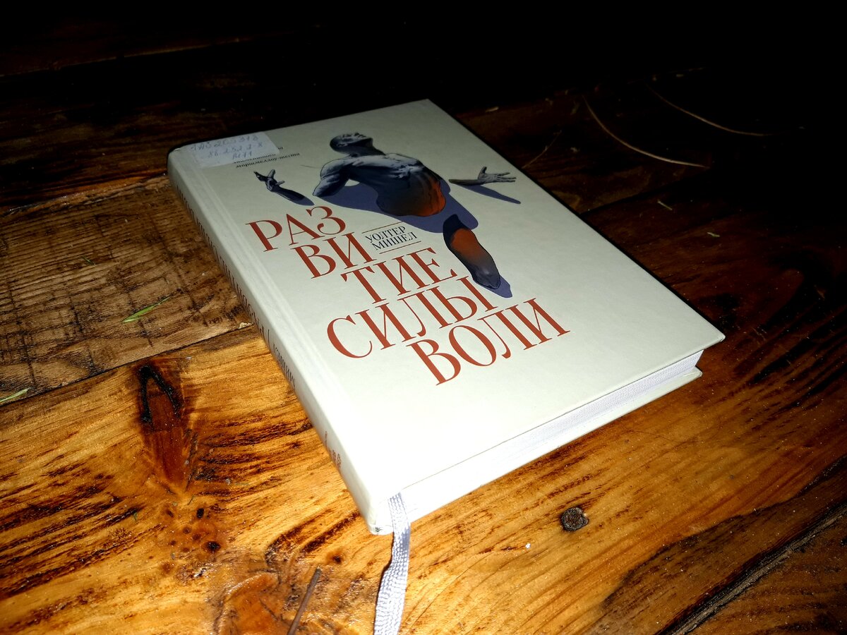 "Развитие силы Воли" Уолтер Мишел. Литературный блог