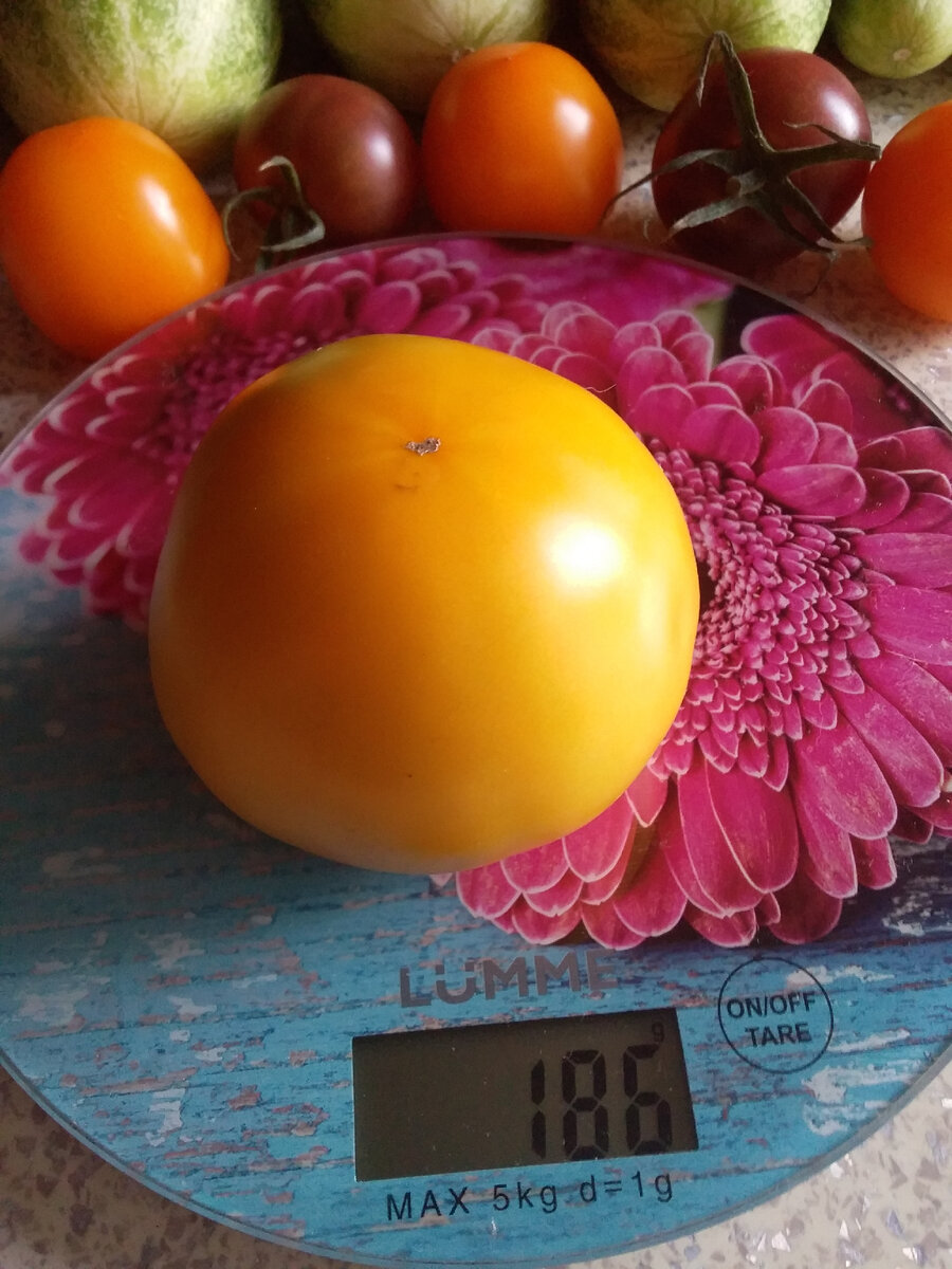 Средний вес плодов примерно 150г