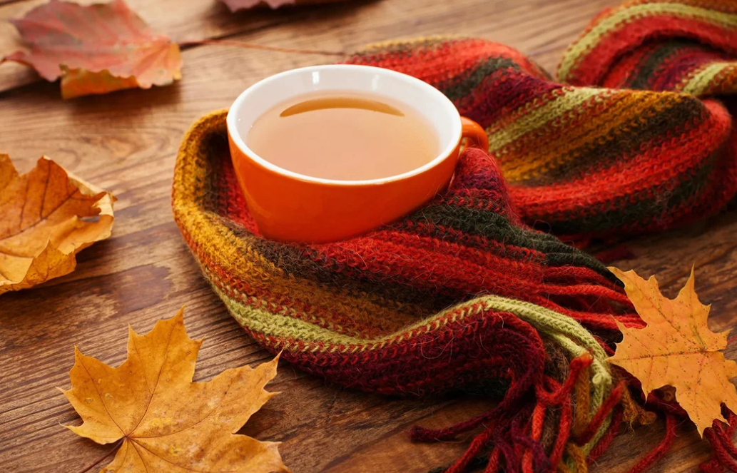 из интернета