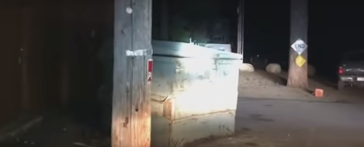 Ответственность за безопасность даже животных