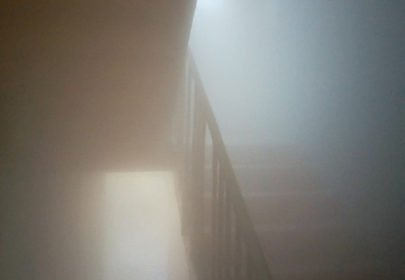 Фото: vk.com/spb_today