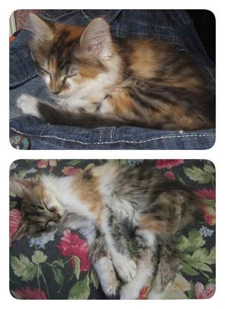 На вскидку месяца полтора :)