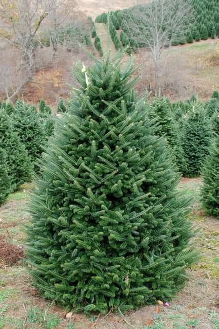 Фото взято из открытых источников