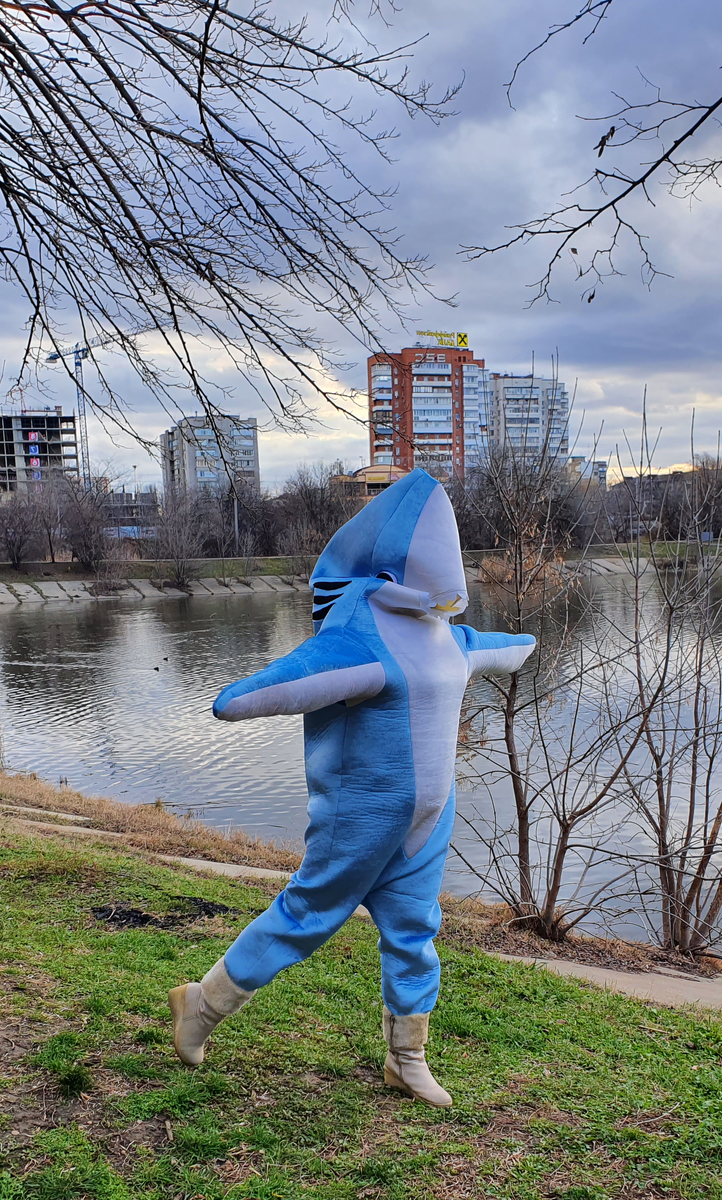 на фото Акуленок ДырДырДыр