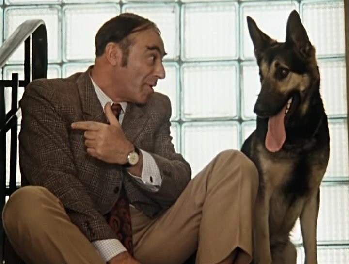 Кадр из фильма "Иван Васильевич меняет профессию". 