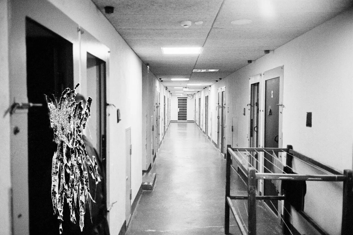 в камерах проживают 1 или 2  человека 