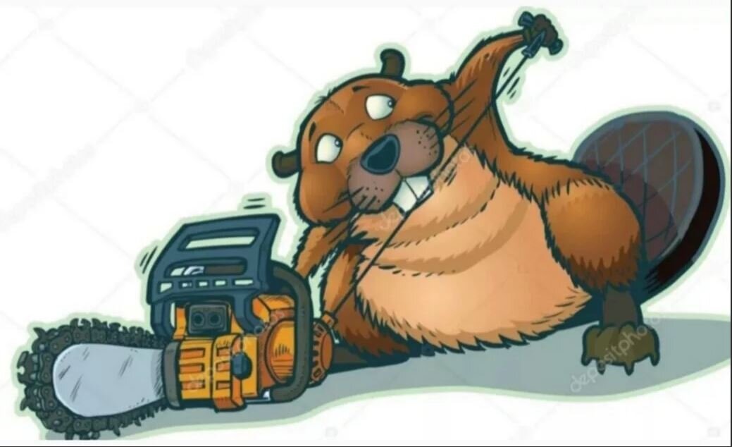 картинка с просторов интернета