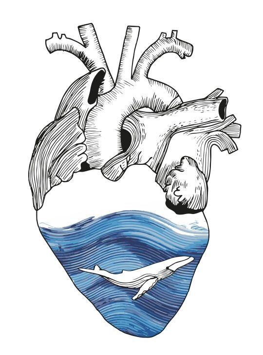 https://i.pinimg.com/564x/47/17/af/4717afd897bf9e9d1f55b7b16a78ec9c.jpg