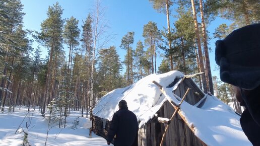 ПРИЕХАЛИ В ИЗБУ А ТАМ. ЗАХВАТЫВАЮЩЕЕ ПУТЕШЕСТВИЕ В ЛЕСНУЮ ИЗБУШКУ. В ...