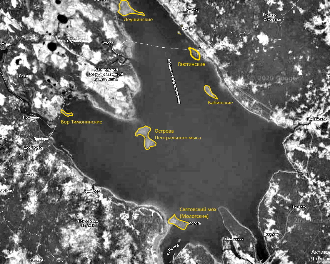 Рыбинское водохранилище остров. 45 Остров Рыбинское водохранилище. Рыбинское водохранилище торфяные острова. Торфяные острова в Рыбинском водохранилище. Акватория Рыбинского водохранилища.