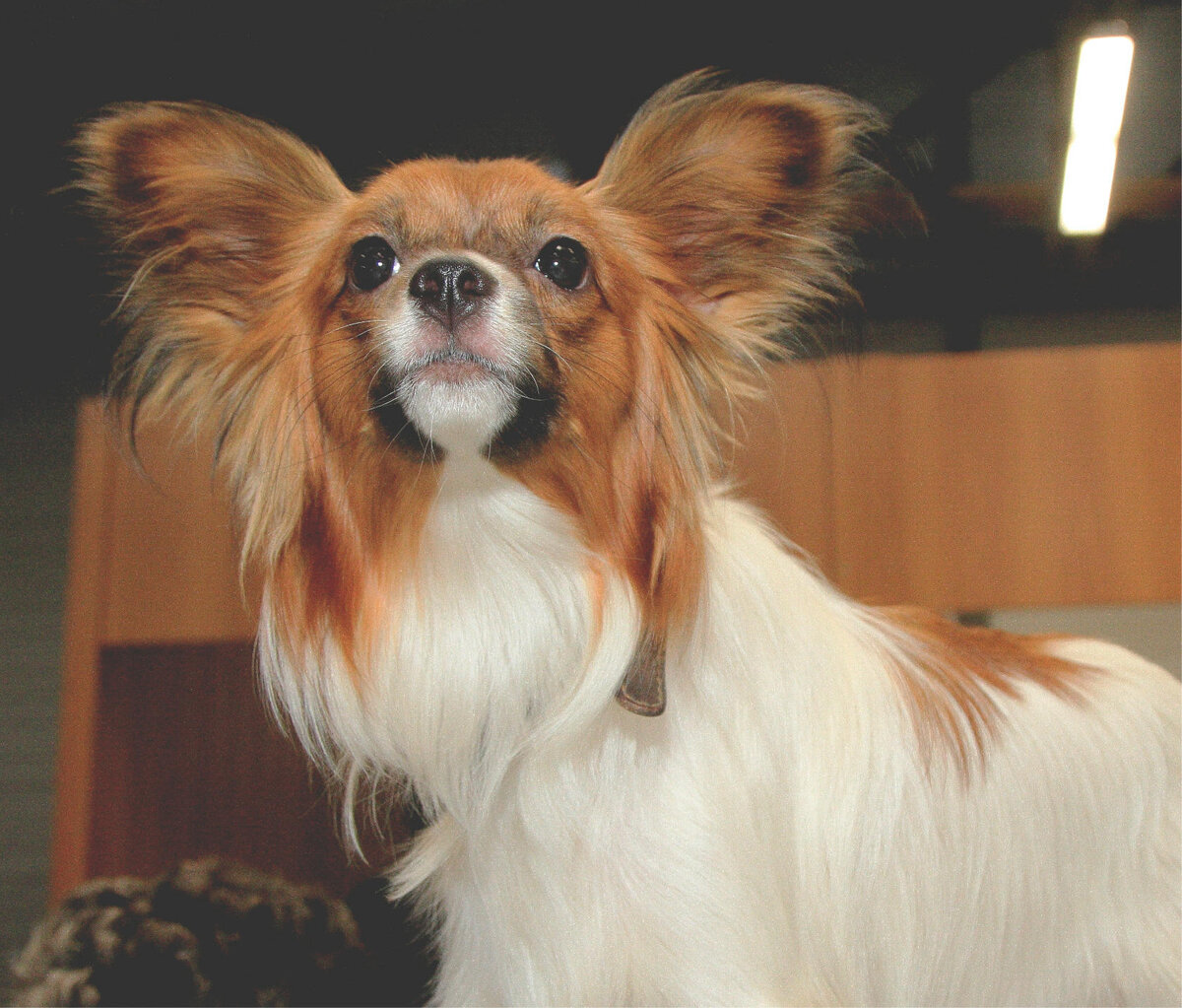 на выставке