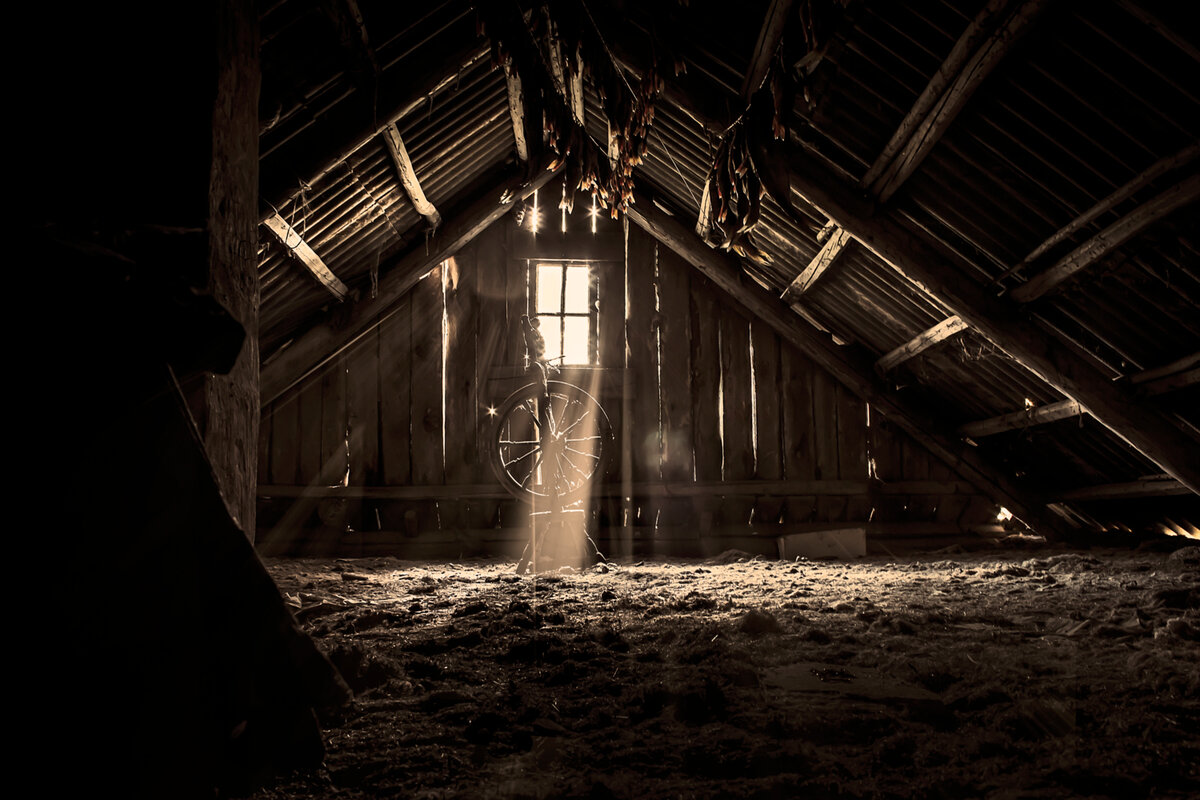 Фото взято из интернета.