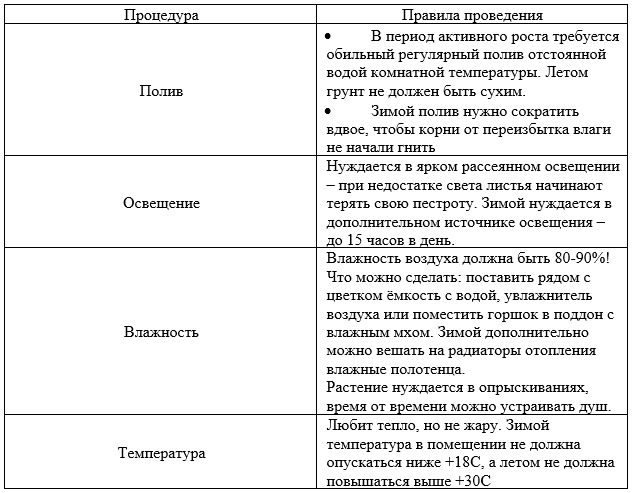 Рекомендации по уходу