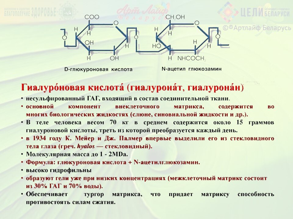 Гиалуроновая кислота. Что это? Эффективность для кожи лица