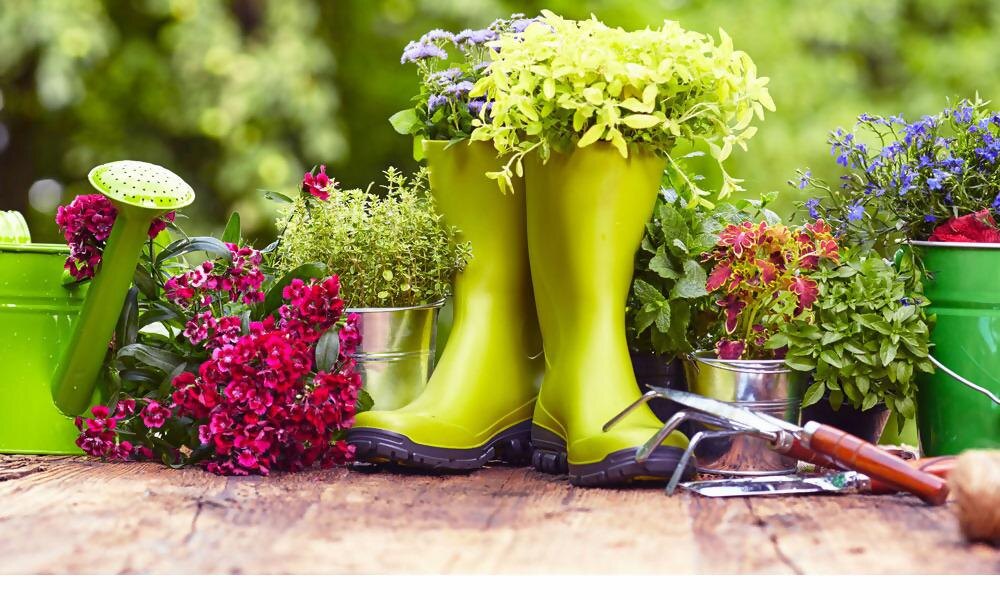 картинка из Яндекса