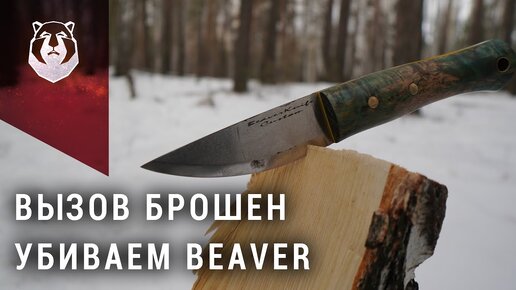 下载视频: Трэш с ножом Beaver Knife