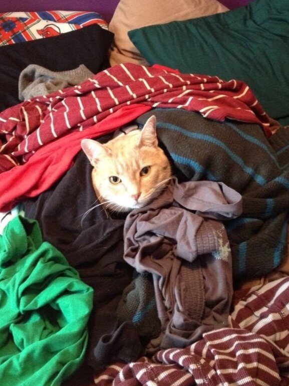 Фото из Интернета.