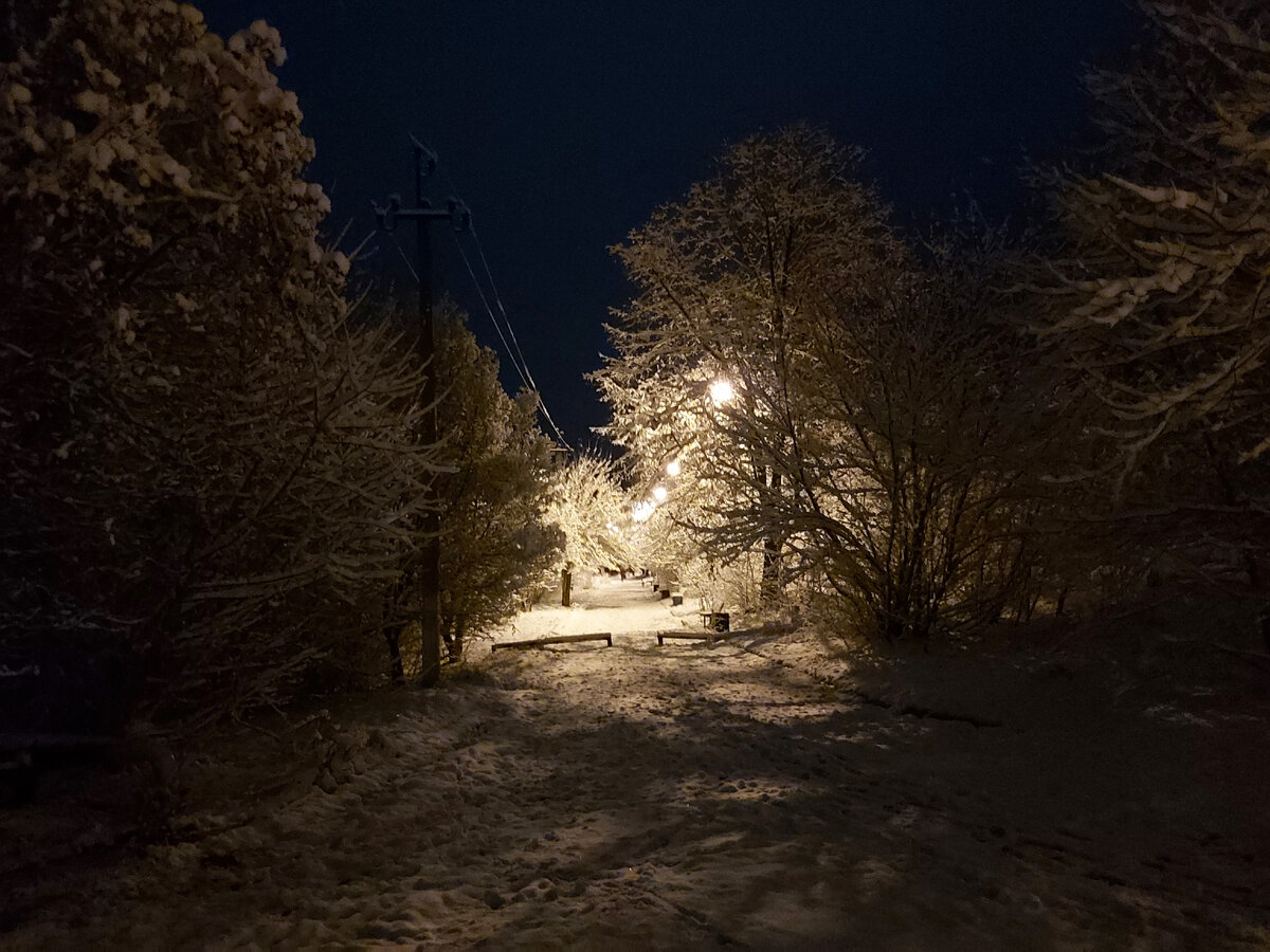 Легко перепутать утро с ночью. На фото - утро, начало 8го.