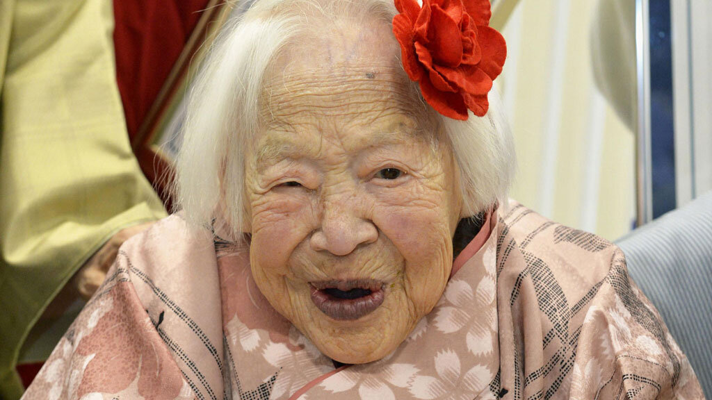 взято из открытых источников 