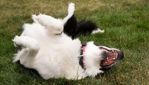 Источник: https://klkfavorit.ru