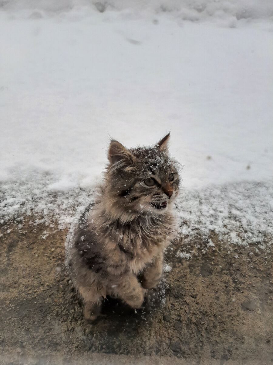 Это, я спешу на помощь