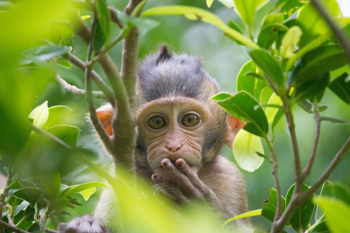 Фото: shutterstock