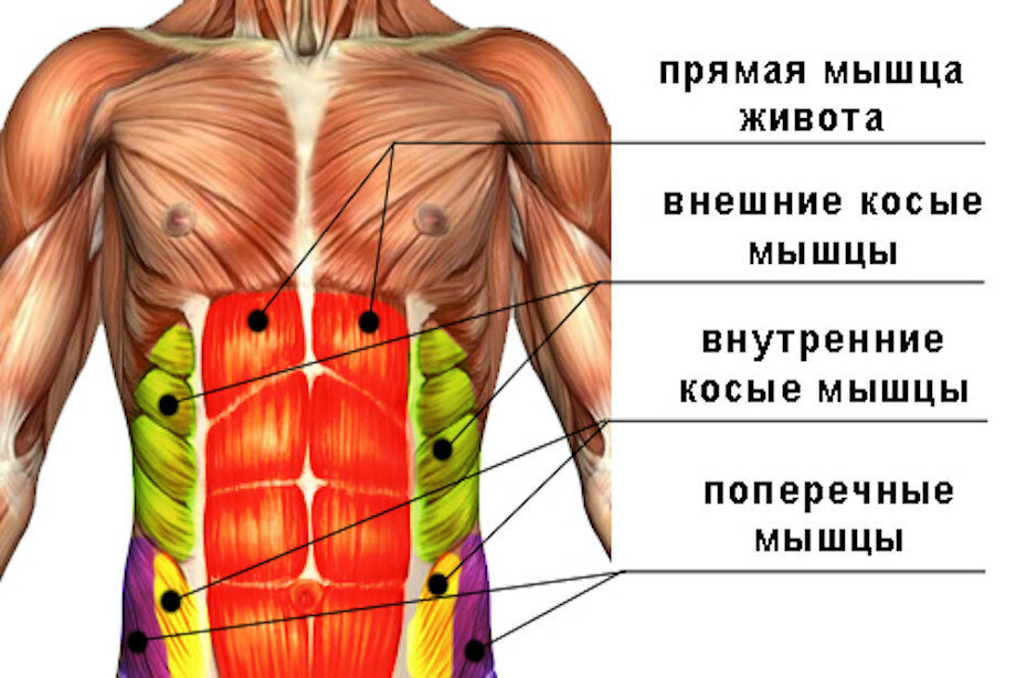 ЕСЛИ БОЛИТ СПИНА: 5 УПРАЖНЕНИЙ ВМЕСТО ОБЕЗБОЛИВАЮЩИХ