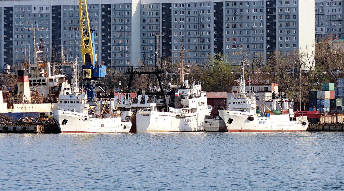 Изображение Konstantin с сайта Pixabay 