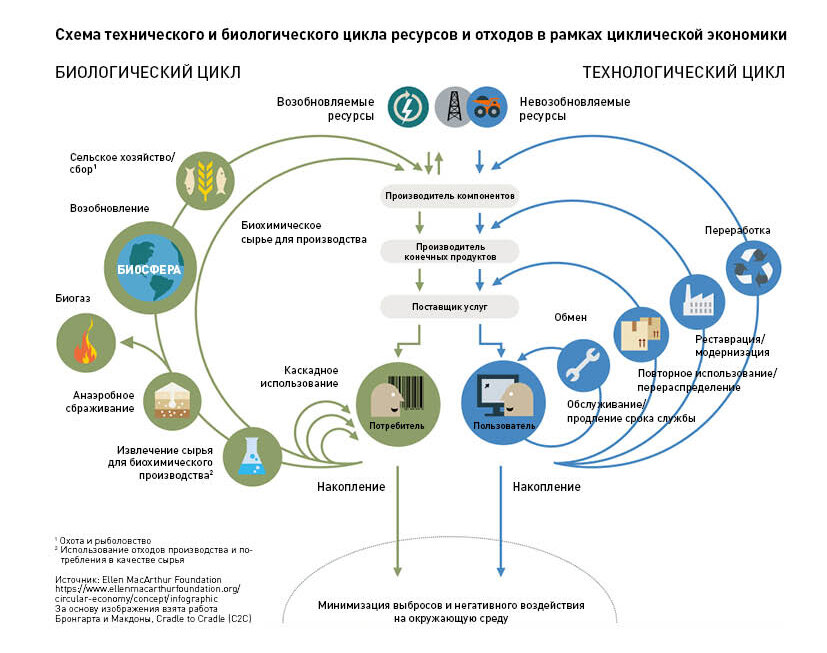 Экономика замкнутого цикла схема