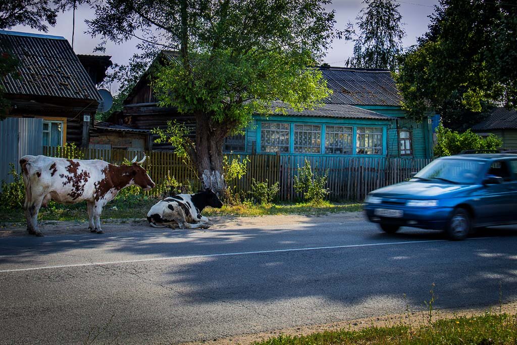 фото из открытых источников интернета