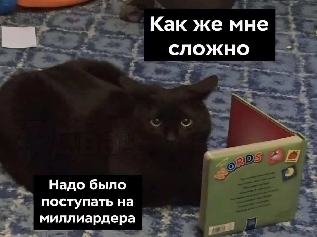 Немного юмора 