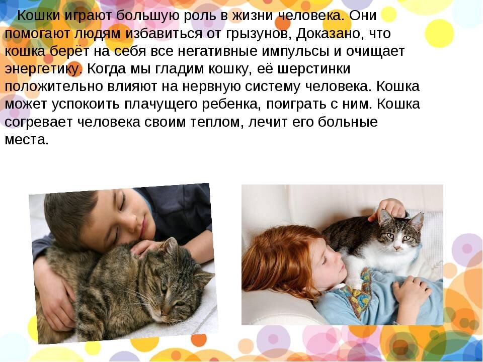 Польза кошек