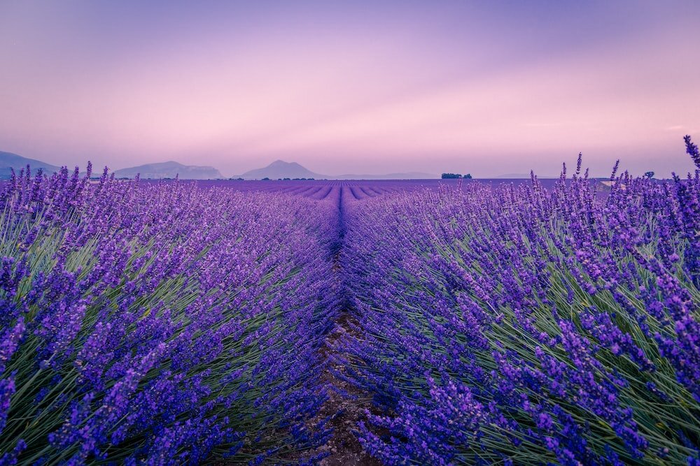 Photo by Antony BEC / Unsplash 