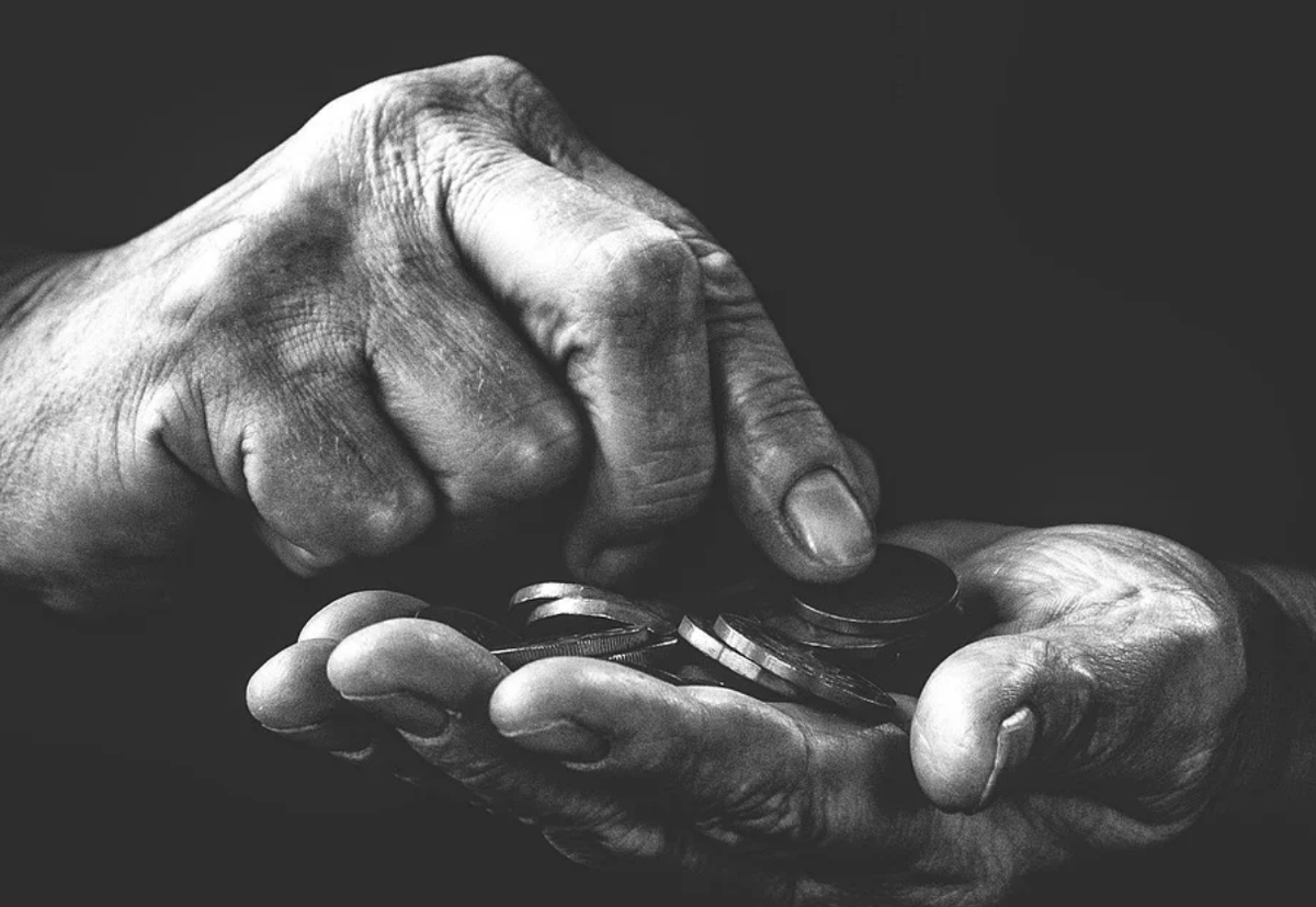 ФОТО ЯНДЕКС-КАРТИНКИ.