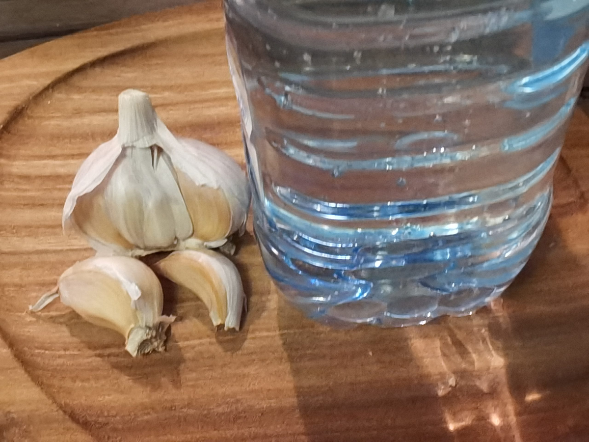 Los pepinos se cultivan en todos los jardines y casas de verano. Pero a veces los frutos se pudren y se secan directamente en los arbustos. Si se da por vencido, no sólo disminuirá el rendimiento, sino que la planta puede morir por completo.-4