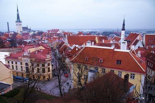    В ООН обеспокоились прекращением обучения на русском языке в Эстонии