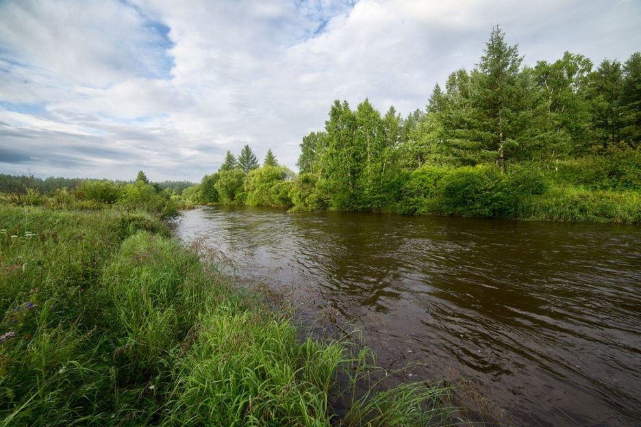 Река Пестуница