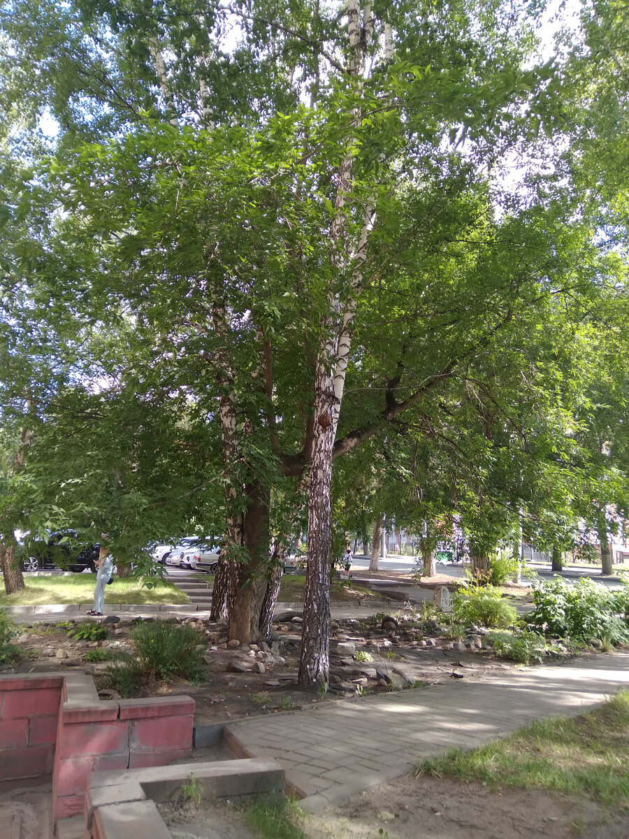 Прогулки по городу